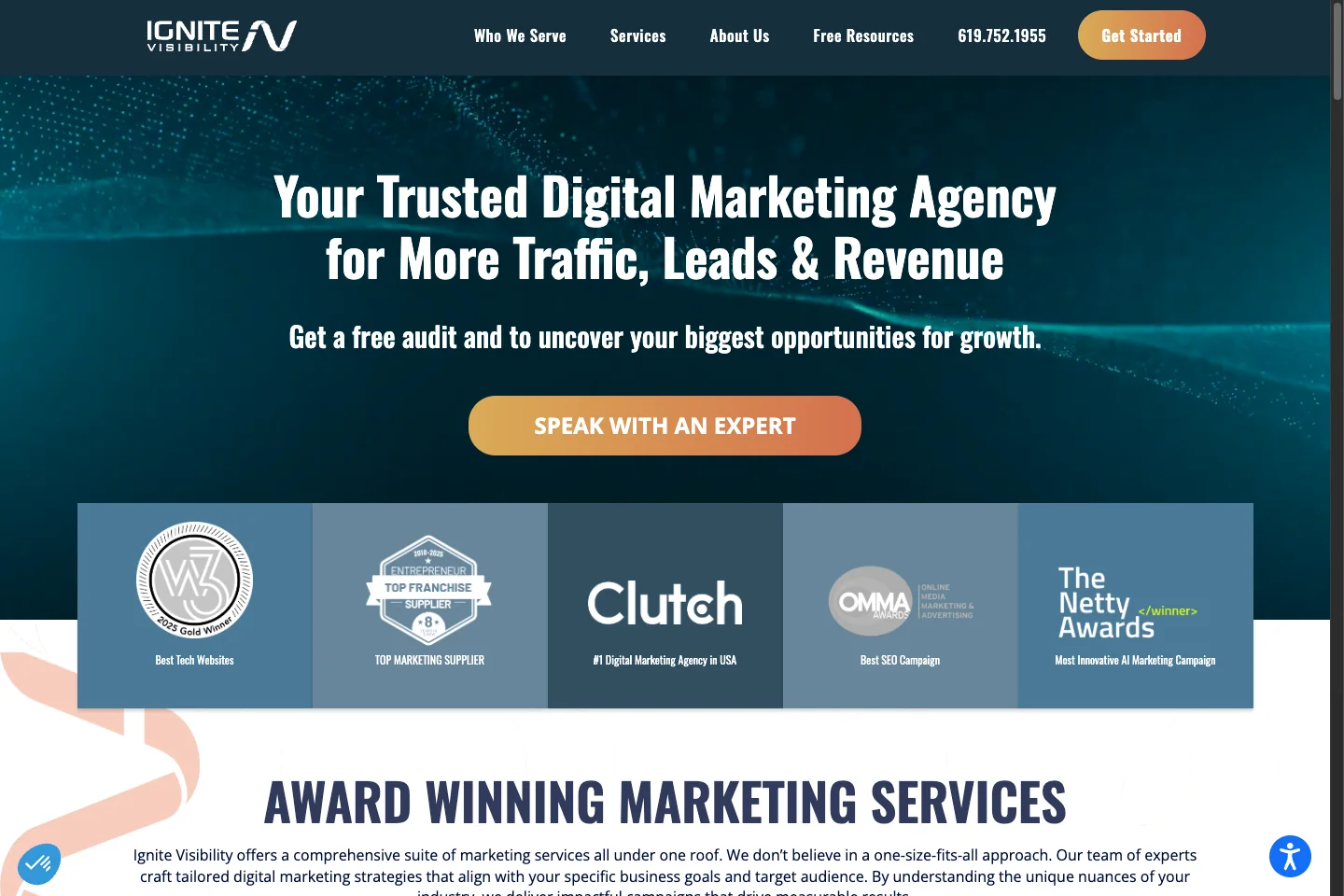 Ignite Visibility official homepage showing its brand and marketing service positioning